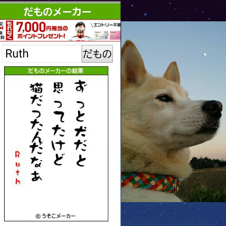 5186ab91 f2a5 41e2 a3c7 a5b7bddc1d95