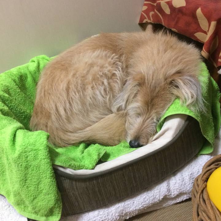 51876005 837b 4c4a a7e8 9540ab2b73c3