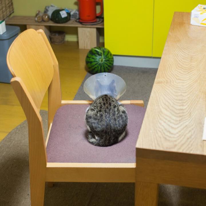 51887135 9882 4494 be4e 88b2ae2ff556