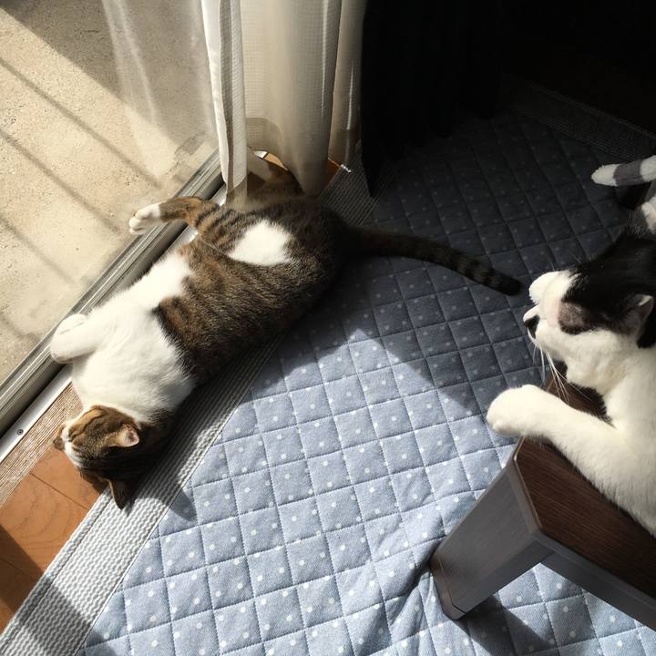 51888f82 c1dd 4e16 84cb 34e85a065c52