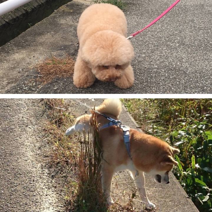 5188ed6c fbd5 40ce 97fd b862fa8ac7a6