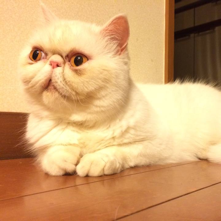 51899c4e e46d 4680 9997 54798d626627