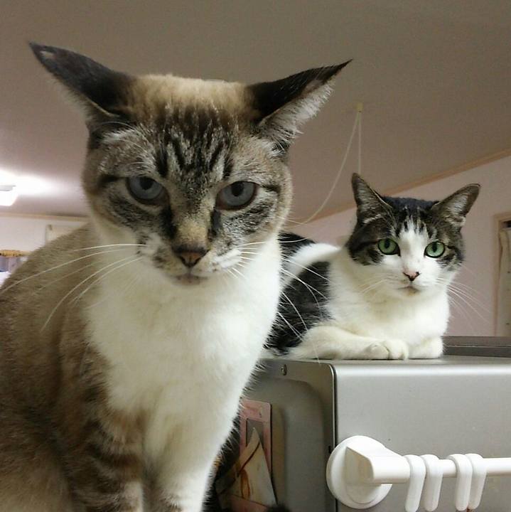 51899df4 61ac 409b b53f 5f5e8aea96aa