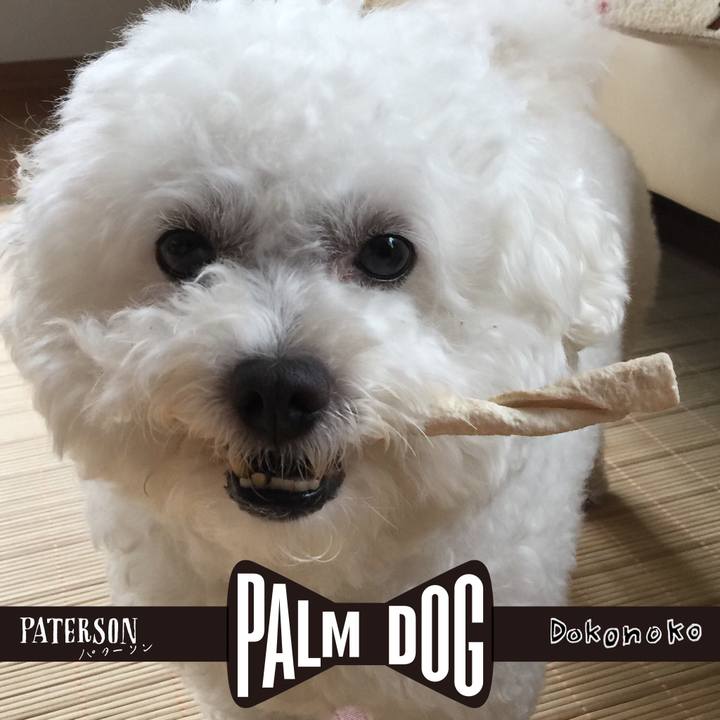 5189f00c 11a8 4a73 b242 96217fa4cc50