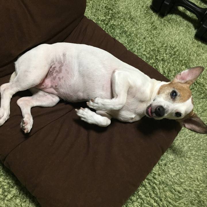 518ab7bf 3d6f 4fdb 8bc3 20c5c8511c57