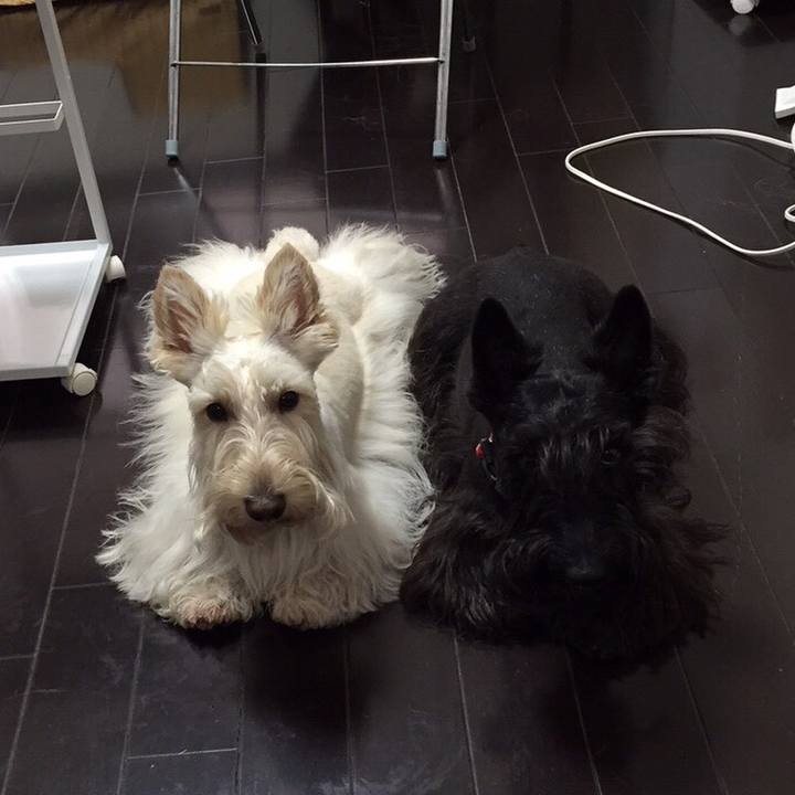 518b0565 84e8 4782 94f1 d638c187526e