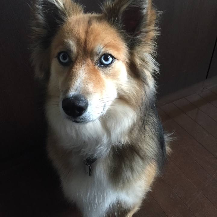 518b801e f5db 4d7c bce8 5c7a3a4e8cc1