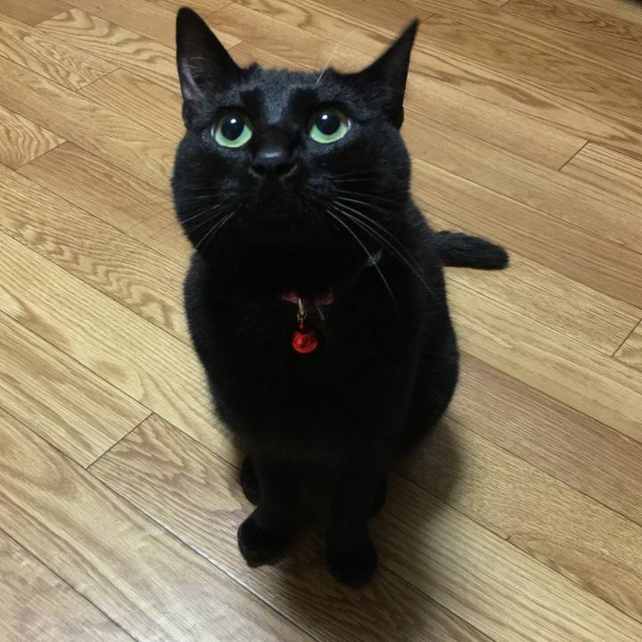 518ca74f 09ba 477d adfa 58aac35fdc68