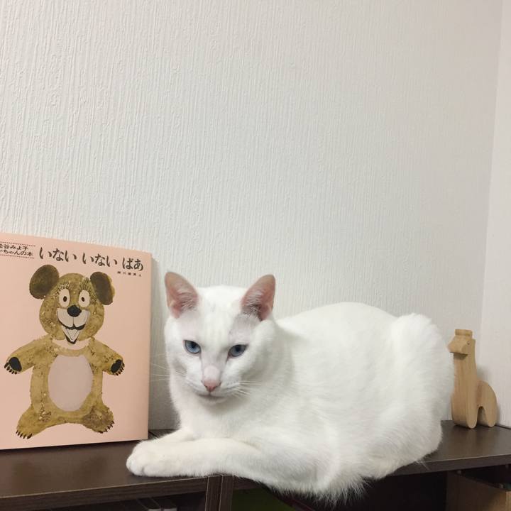 518d223a d71a 4f75 b290 810f8605cded