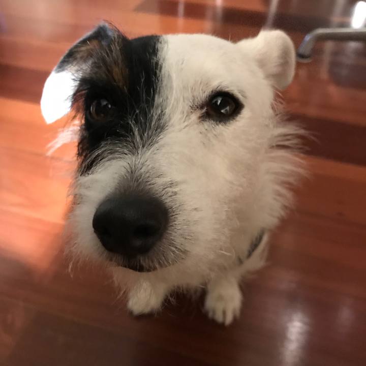 518d89ea a3e0 4413 aa86 bf9e24c1f816