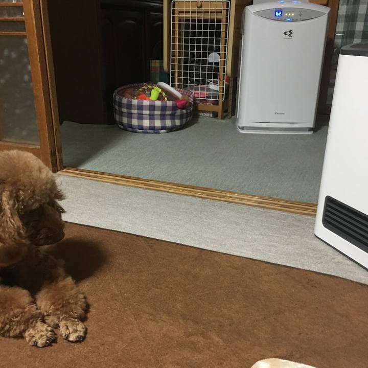 518eac88 4e0e 496f 9418 46bd434f6485