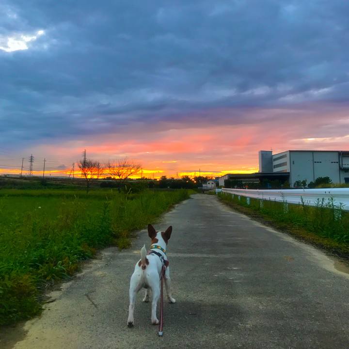 518f11ec 3c29 4e5b a39f df2b43c74c41