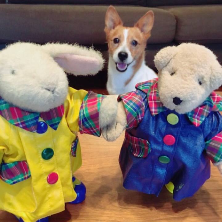 518f34fb 3d74 41b8 aea1 e3bc6ff5c830