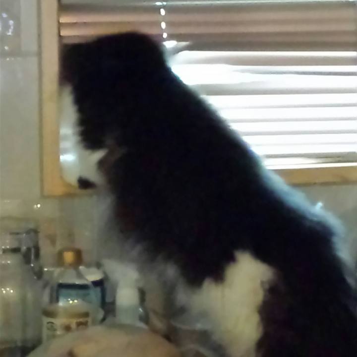 518f7b56 1700 4acf 8c1c 95ec9c0b166d