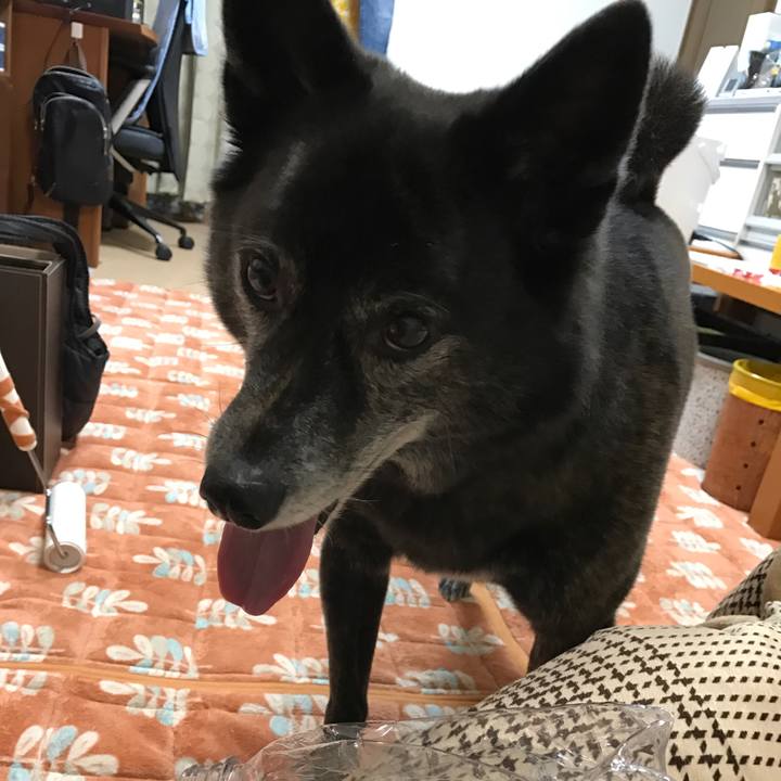 518f9e50 06b0 48b8 89fa e5301723661b