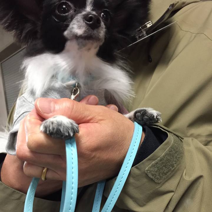 5190631b c9ba 44be 8a21 da9250670f16