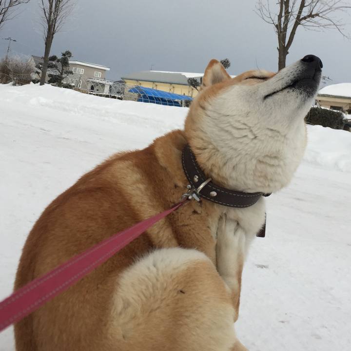 51908b40 a7f9 4b6d 827c b031f128bd19