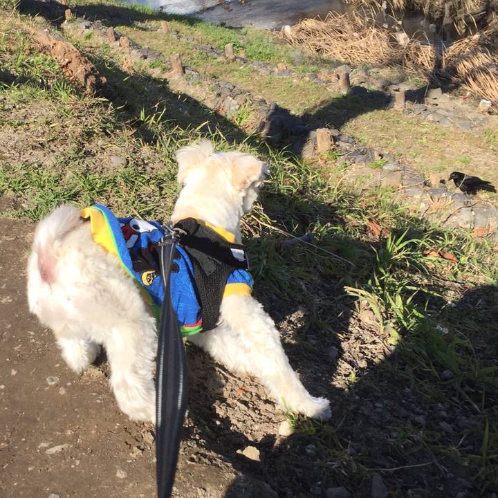 51910108 0aa7 4b40 b388 f07b6b1e97eb