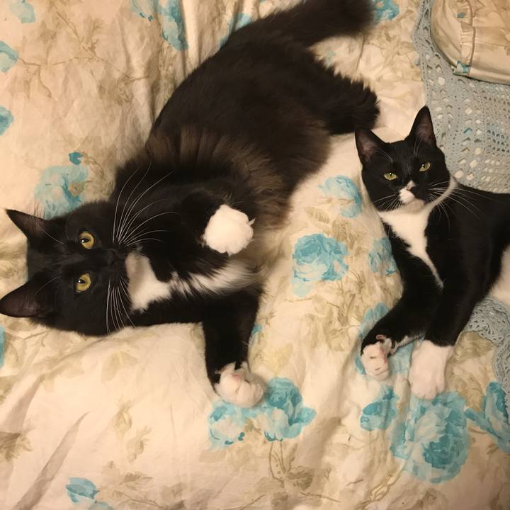 51913cad ddf5 463e 9744 870f99bbc9b2