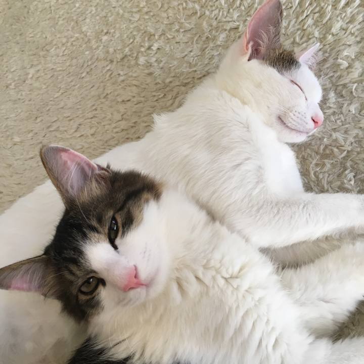 5191634e ab82 47ef 86a4 a36bc93db214