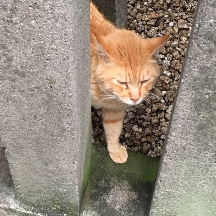 5191acda 267b 400d 86bd fe4b942ee58f