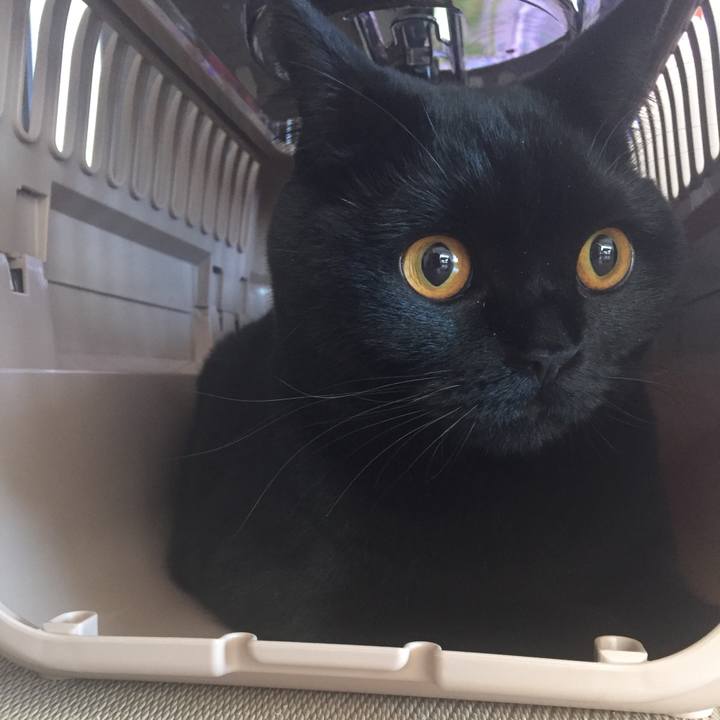 5191b58d 2f26 470d b581 69edae2b984b