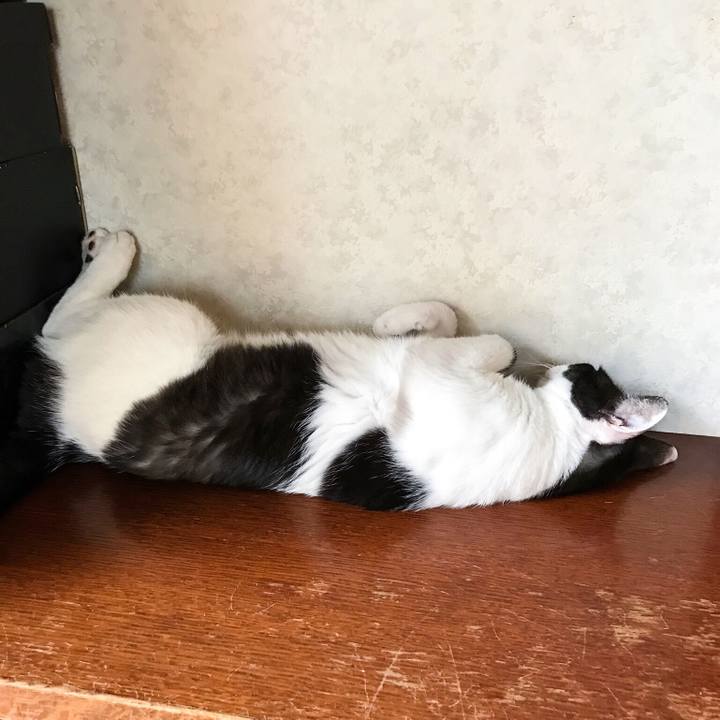 51922980 b970 402b 9fcf d2254b8b03b3