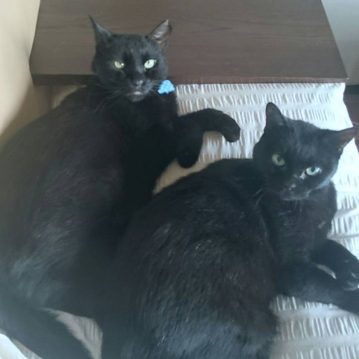 5193b6fb 21d9 4114 9aba 60591bf49918