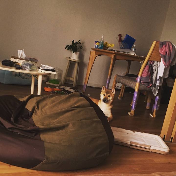 5193fe29 dca8 4189 9d7e 8aa7df9bd097