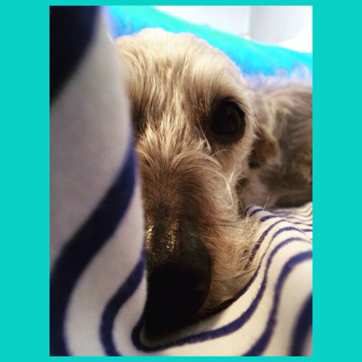 51944104 0b2e 472a b977 736553a3c126