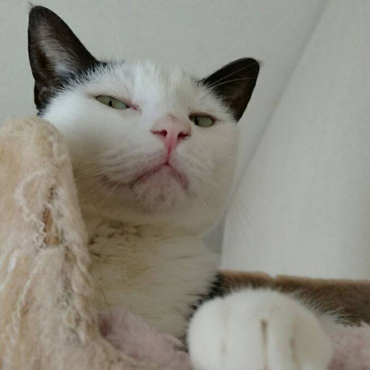 51945b13 e257 4aad ae61 2be2c19e0a68