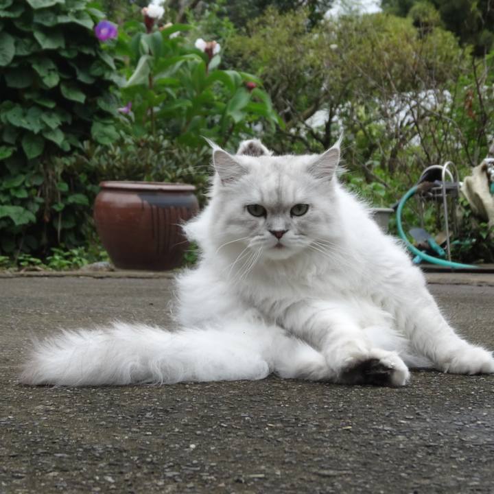 519467e3 1c42 48b8 8ed0 da6deda69c83