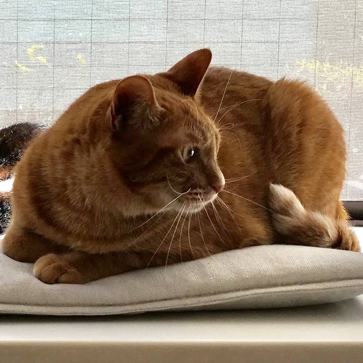 51946e53 ef3c 4473 b76e 73b310e439f8