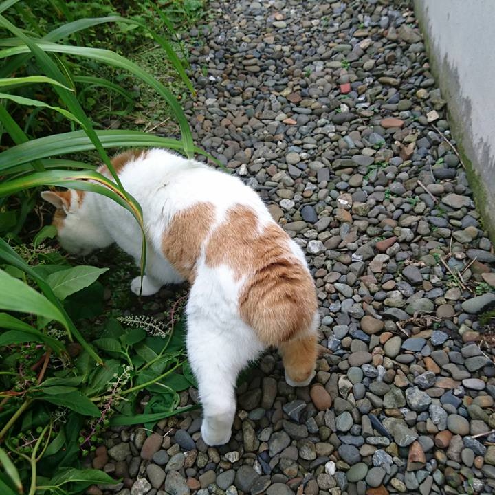 5194b501 32e1 46d6 b299 57760835a4c2