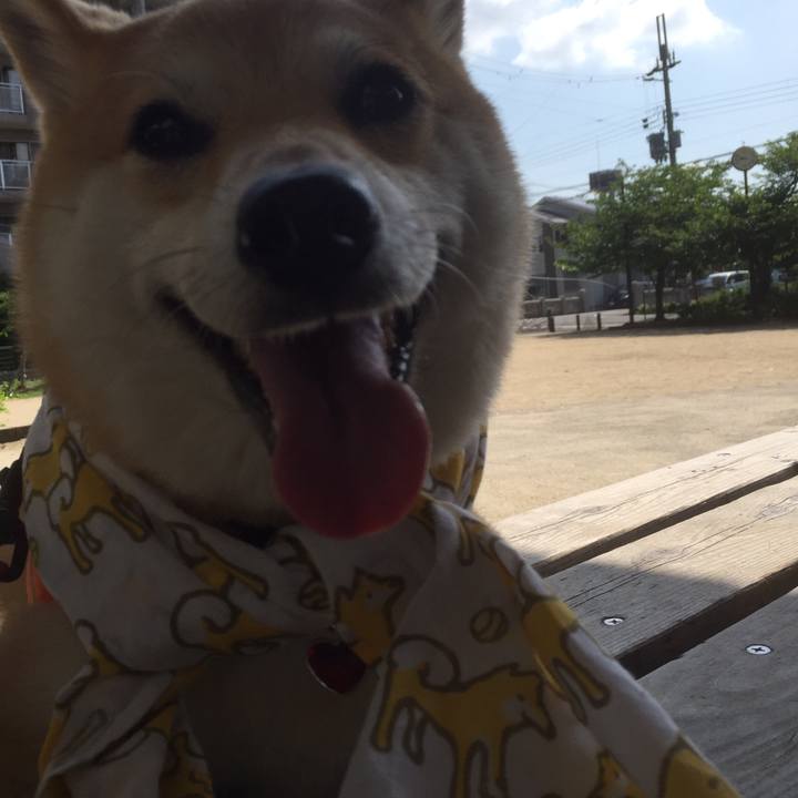 5194fb13 9638 4fc4 92d2 e4fbd773b6d3