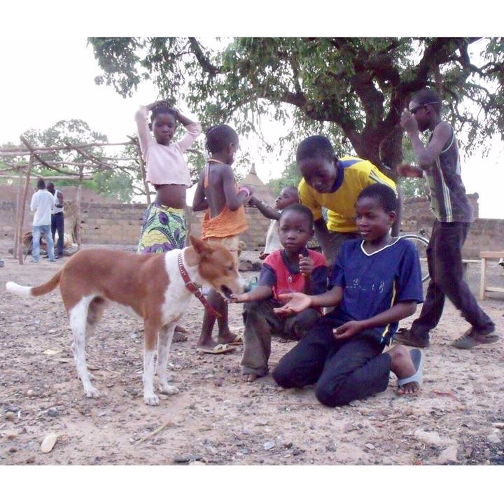 51950858 8a3f 434b 918d 41bd55afa39d