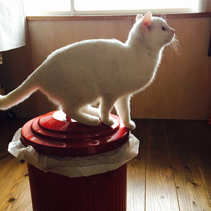 51953d89 4acd 4463 aab3 dd03e342f5c9