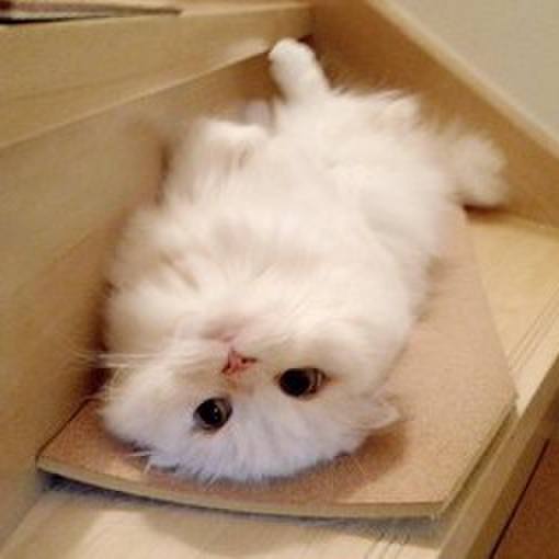 519602a7 47d1 48f0 a4ce 4aefa9fd5408