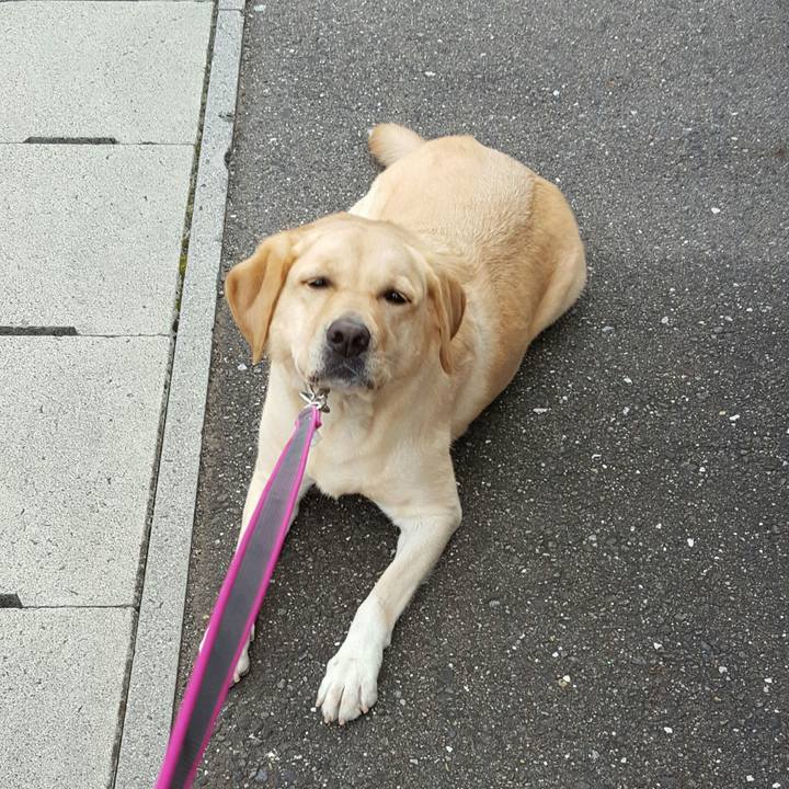 51965e6d 9304 45f2 bfd7 949402f631f3