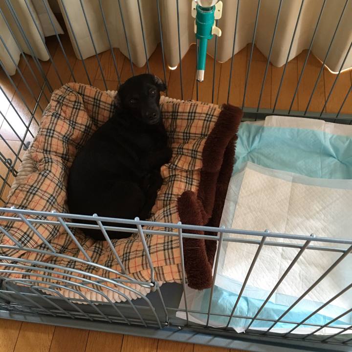 51967abb 2475 4831 b5ea da6621abd1db