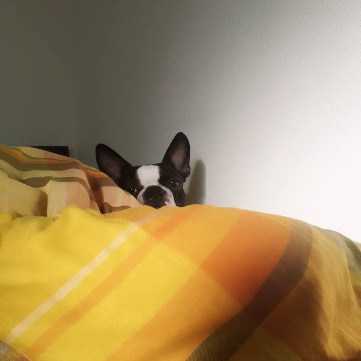 51970aeb d449 4882 ba09 b3bd1b87a4fa