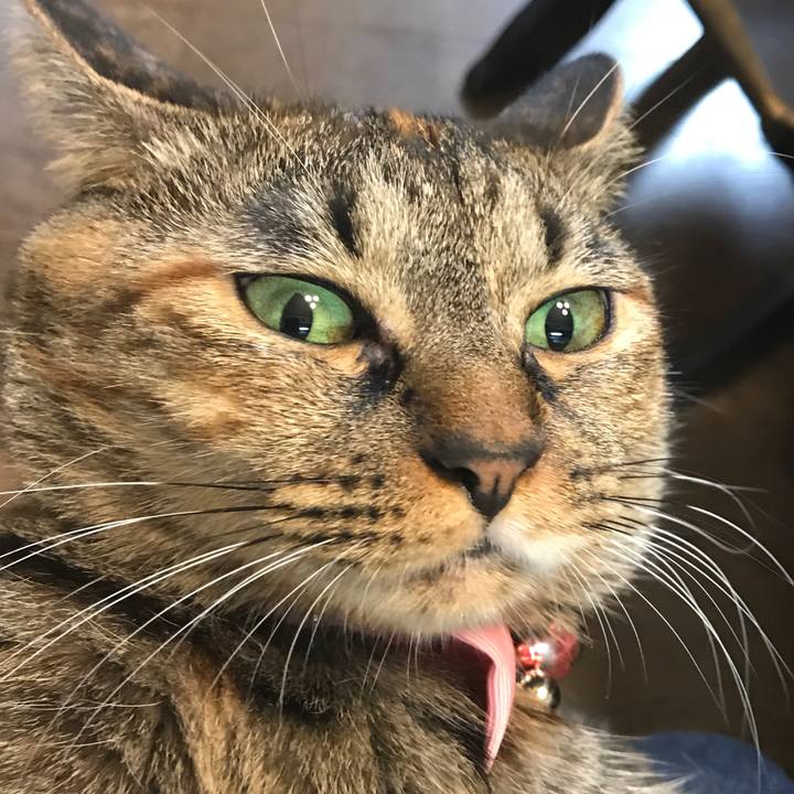 51988a1f f37b 41a7 b45f 5baef1c6d6d2