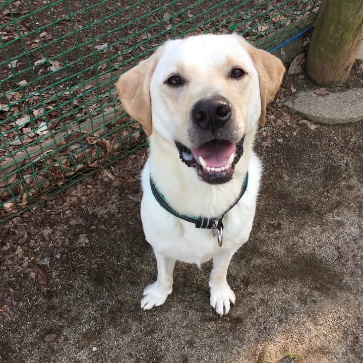 51988ce7 5bf8 4c25 a9a3 c3c157c53981