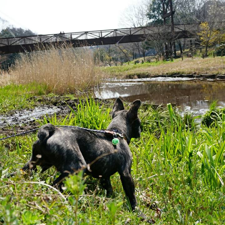 51989d3e ad94 4328 8e1b fcd57c34953a