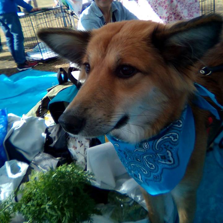 5198d499 e4ef 4e42 8e6d d01aa60f0d7b