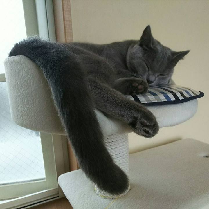 5199693e af1c 40c3 bfc9 733a702fe370