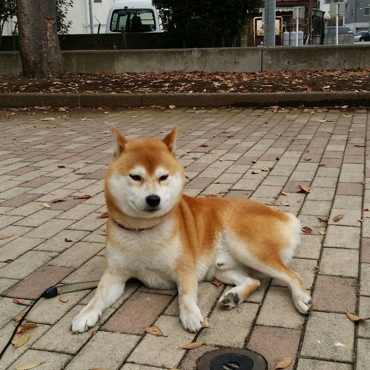 51996946 999d 497e a735 4ff3697928b1