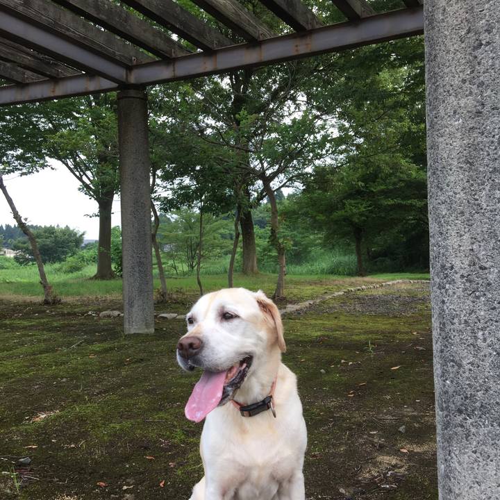 5199a123 a2da 4786 987b f20dde209e7a