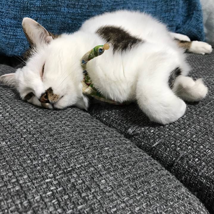 5199a9b9 abae 44b7 807f cf1e6f34e3c2