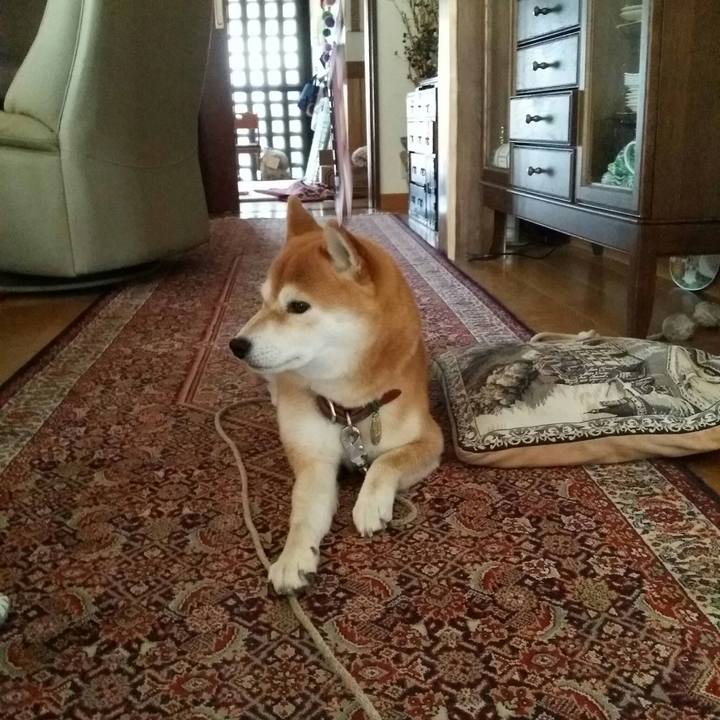 519bc1d3 817c 45d0 bbd7 ebdb14ffa236